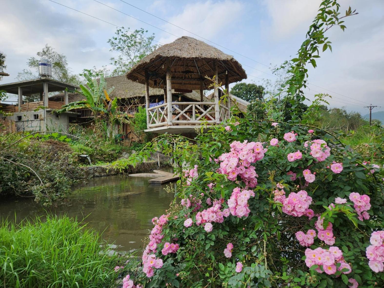 Dong Que Homestay-Tours-Motorbike, Car Rental, Hiking Ha Giang Exteriör bild
