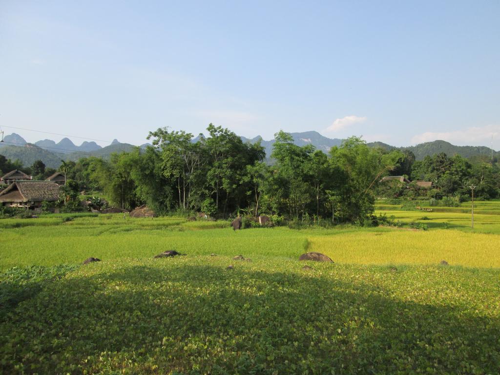 Dong Que Homestay-Tours-Motorbike, Car Rental, Hiking Ha Giang Exteriör bild