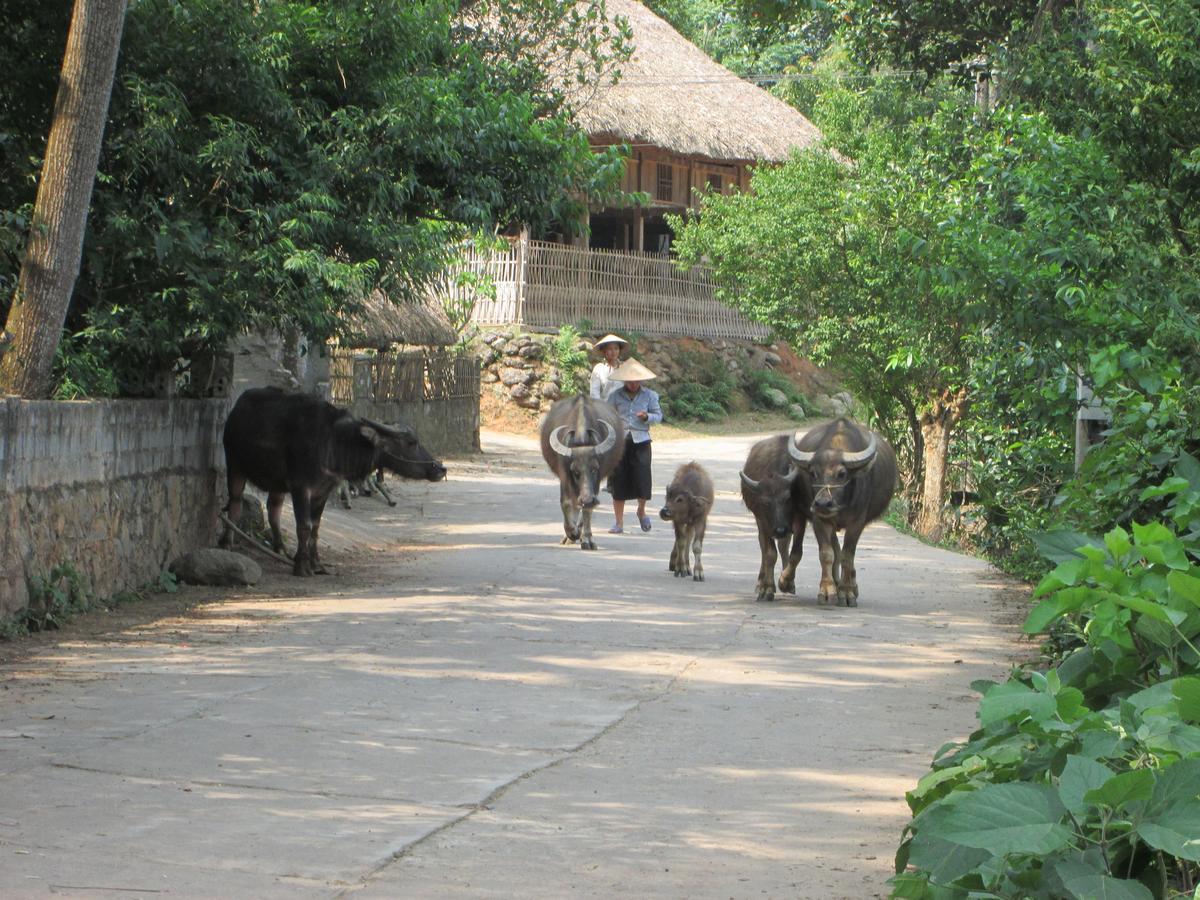 Dong Que Homestay-Tours-Motorbike, Car Rental, Hiking Ha Giang Exteriör bild
